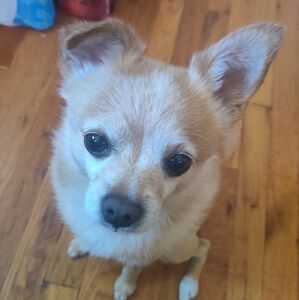 Meet your Posher, Raynell